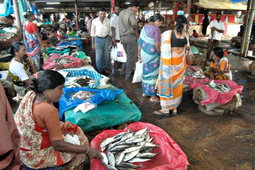 NFDB cuts grants for Fish Market projects 